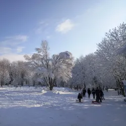 Shevchenko Park - Rivne