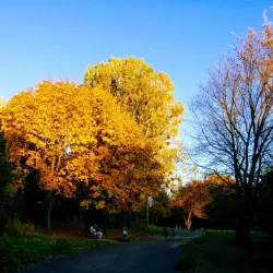Victory Park - Rivne