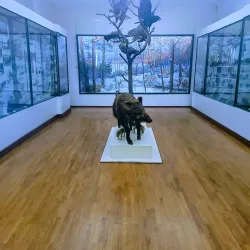 Museum of Local Lore - Sumy