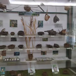 Sumy Regional Museum - Sumy