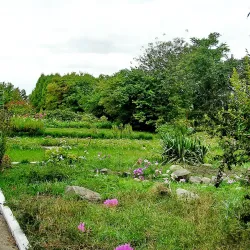 Sumy State University Botanical Garden - Sumy