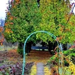 Sumy State University Botanical Garden - Sumy