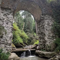 Carpathian Mountains Hiking Trails - Truskavets