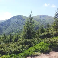 Carpathian Mountains Hiking Trails - Truskavets