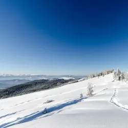 Carpathian Mountains Hiking Trails - Truskavets