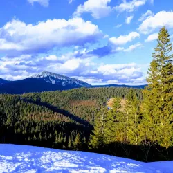 Carpathian Mountains Hiking Trails - Truskavets