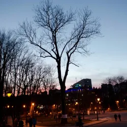 Naftusia Mineral Water Springs - Truskavets