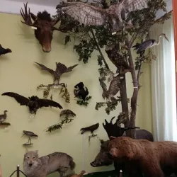 Uman Local History Museum - Uman