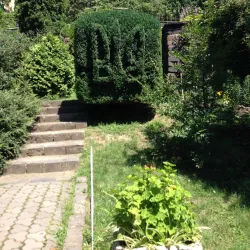 Uzhhorod Botanical Garden - Uzhhorod