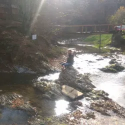 Carpathian Mountains Excursions - Vynohradiv