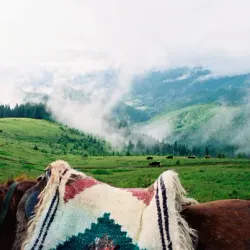 Carpathian Mountains Excursions - Vynohradiv