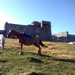 Carpathian Mountains Excursions - Vynohradiv