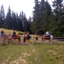 Carpathian Mountains Excursions - Vynohradiv