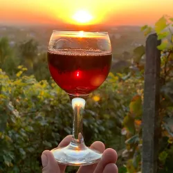 Local Wine Cellars and Tastings - Vynohradiv