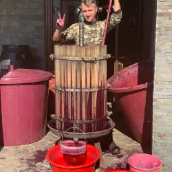 Local Wine Cellars and Tastings - Vynohradiv