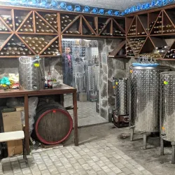 Local Wine Cellars and Tastings - Vynohradiv