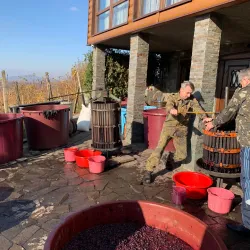 Local Wine Cellars and Tastings - Vynohradiv