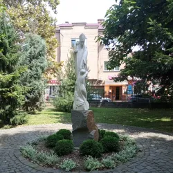 Roman Catholic Church of St. Martin - Vynohradiv