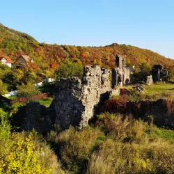 Vynohradiv Castle (Nyalab Castle) - Vynohradiv