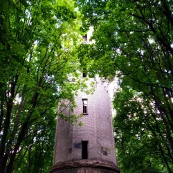 Holosiivskyi National Nature Park - Vyshgorod