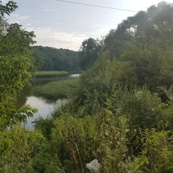 Holosiivskyi National Nature Park - Vyshgorod