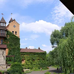 Radomysl Castle - Vyshgorod