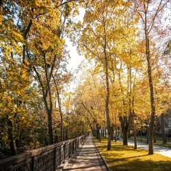 Saint Volodymyr Hill - Vyshgorod