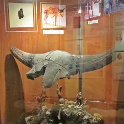 Vyshhorod State Historical and Cultural Reserve - Vyshgorod