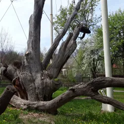 Oak Park - Zaporizhzhya