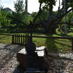 Oak Park - Zaporizhzhya