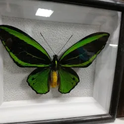 Zaporizhzhya Art Museum - Zaporizhzhya