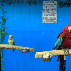 Zaporizhzhya Art Museum - Zaporizhzhya