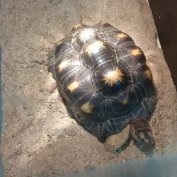 Zaporizhzhya Art Museum - Zaporizhzhya