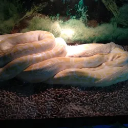 Zaporizhzhya Art Museum - Zaporizhzhya