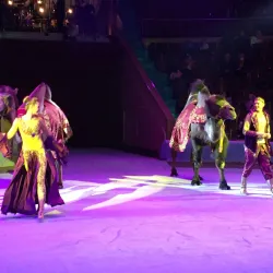 Zaporizhzhya Circus - Zaporizhzhya