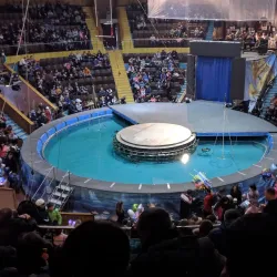 Zaporizhzhya Circus - Zaporizhzhya