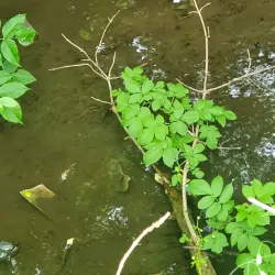 Zaporizhzhya City Council - Zaporizhzhya