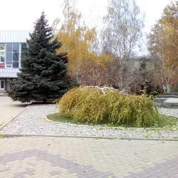 Zaporizhzhya National University - Zaporizhzhya