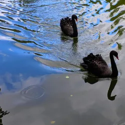 Botanical Garden of Zhytomyr State University - Zhytomyr