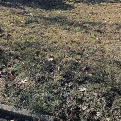 Botanical Garden of Zhytomyr State University - Zhytomyr