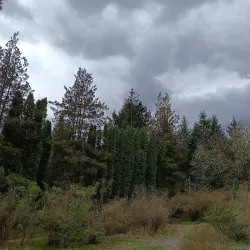 Botanical Garden of Zhytomyr State University - Zhytomyr