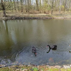 Botanical Garden of Zhytomyr State University - Zhytomyr