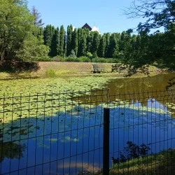 Botanical Garden of Zhytomyr State University - Zhytomyr