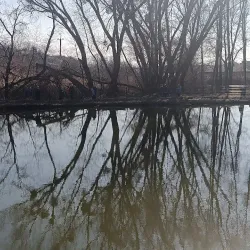 Botanical Garden of Zhytomyr State University - Zhytomyr