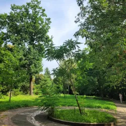 Gagarin Park - Zhytomyr