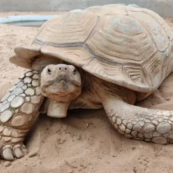 Emirates Park Zoo - Abu Dhabi