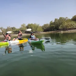 Mangrove National Park - Abu Dhabi