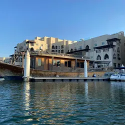 Mangrove National Park - Abu Dhabi