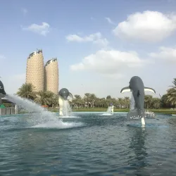 Mangrove National Park - Abu Dhabi