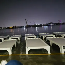 Ajman Fish Market - Ajman